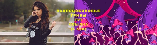 тгк Алексин