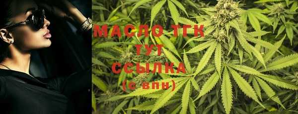 тгк Алексин