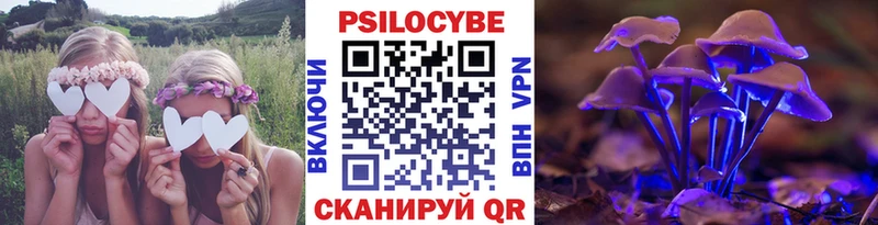 наркота  mega ТОР  Галлюциногенные грибы Psilocybe  Закаменск 